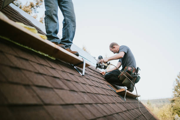 Best Emergency Roof Repair  in Summersville, WV